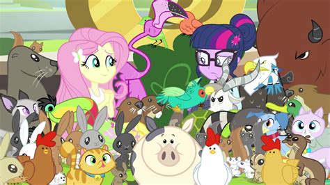 animals my little pony|More.